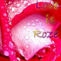 любовь это розы................тьмок)))) (от nick666)