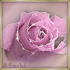 Роза (от Melornia)