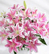 Букет розовых лилий (от Mansurini)