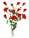 Цветущие розы (от MoJloto4ek)